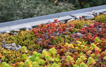 the cost of Corhampton green roof installation